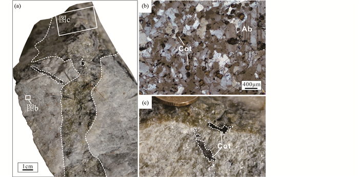 阿尔金中段吐格曼北花岗伟晶岩型锂铍矿床多阶段岩浆-成矿作用