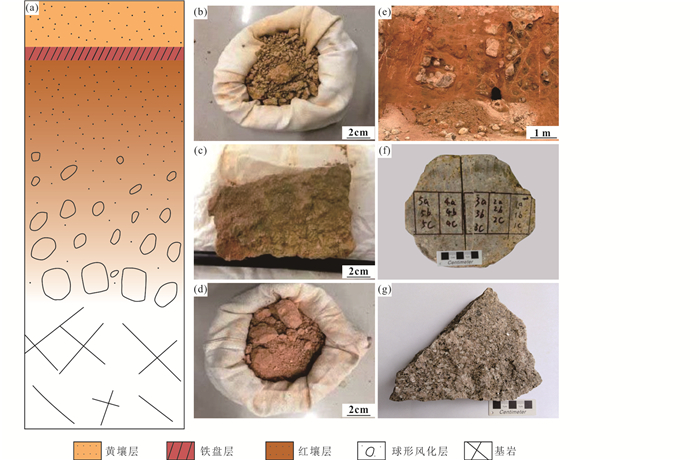 江西相山下家岭稀土矿风化球体中褐帘石的精细矿物学研究及其成矿