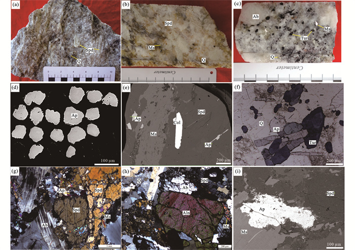 Geochemical tracing of apatite minerals in the magmatic