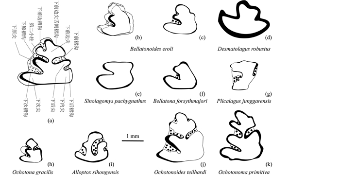 リン　 QotW: What's your favorite Z? | Japanese Nostalgic Car