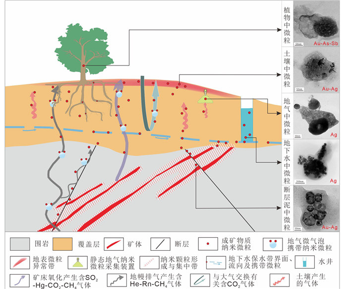 金成矿作用与探测技术
