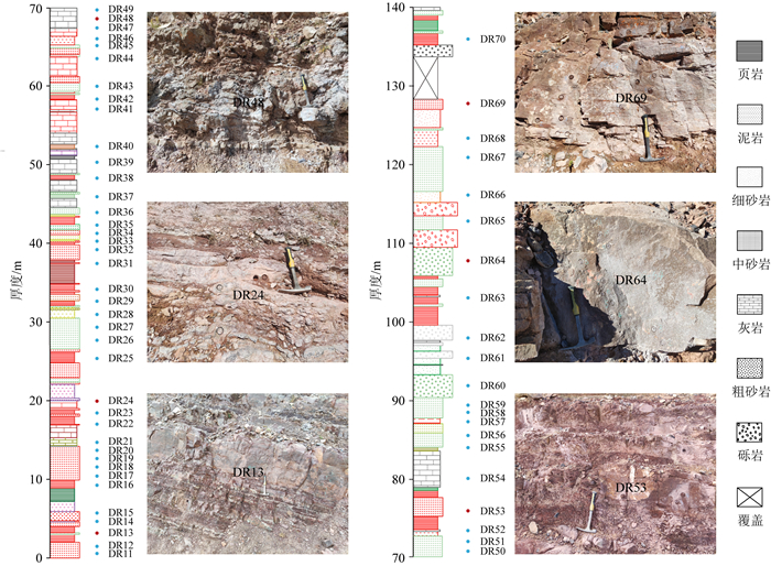 青藏高原拉萨地块中部上三叠统多布日组沉积岩古地磁研究及其构造意义