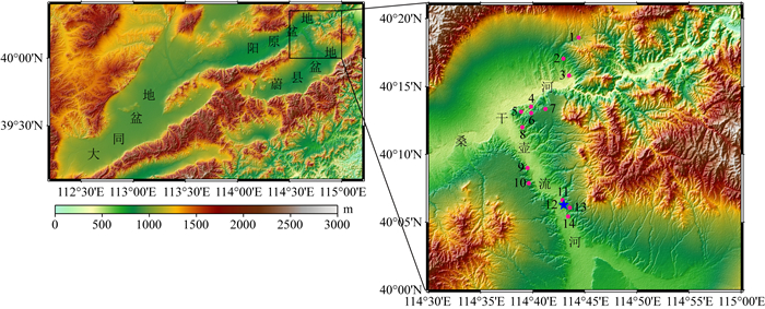 Magnetostratigraphic dating of the Pulu mammalian fauna in the