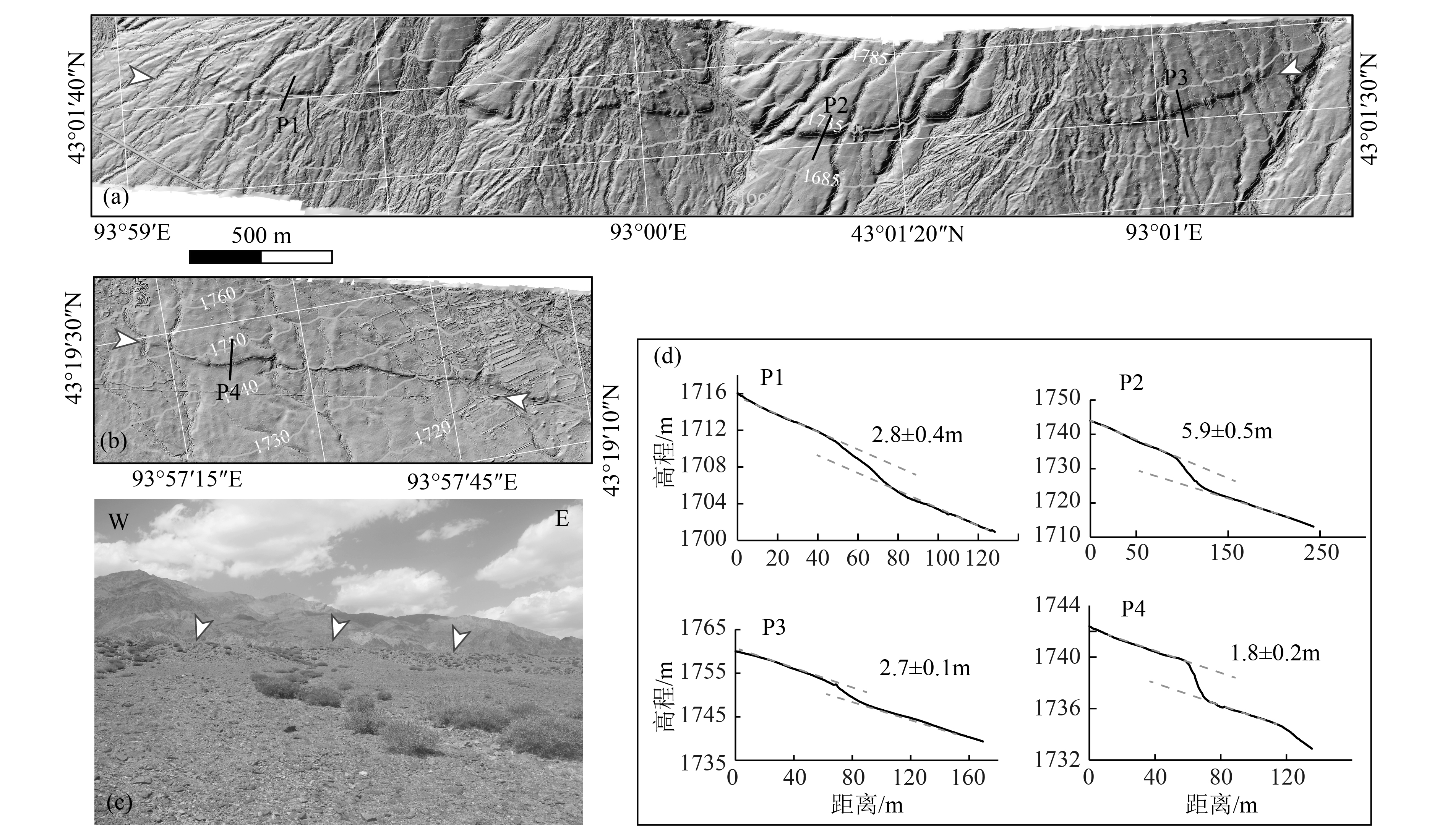 Late Quaternary tectonic deformation characteristics of the Late Quaternary tectonic deformation characteristics of the