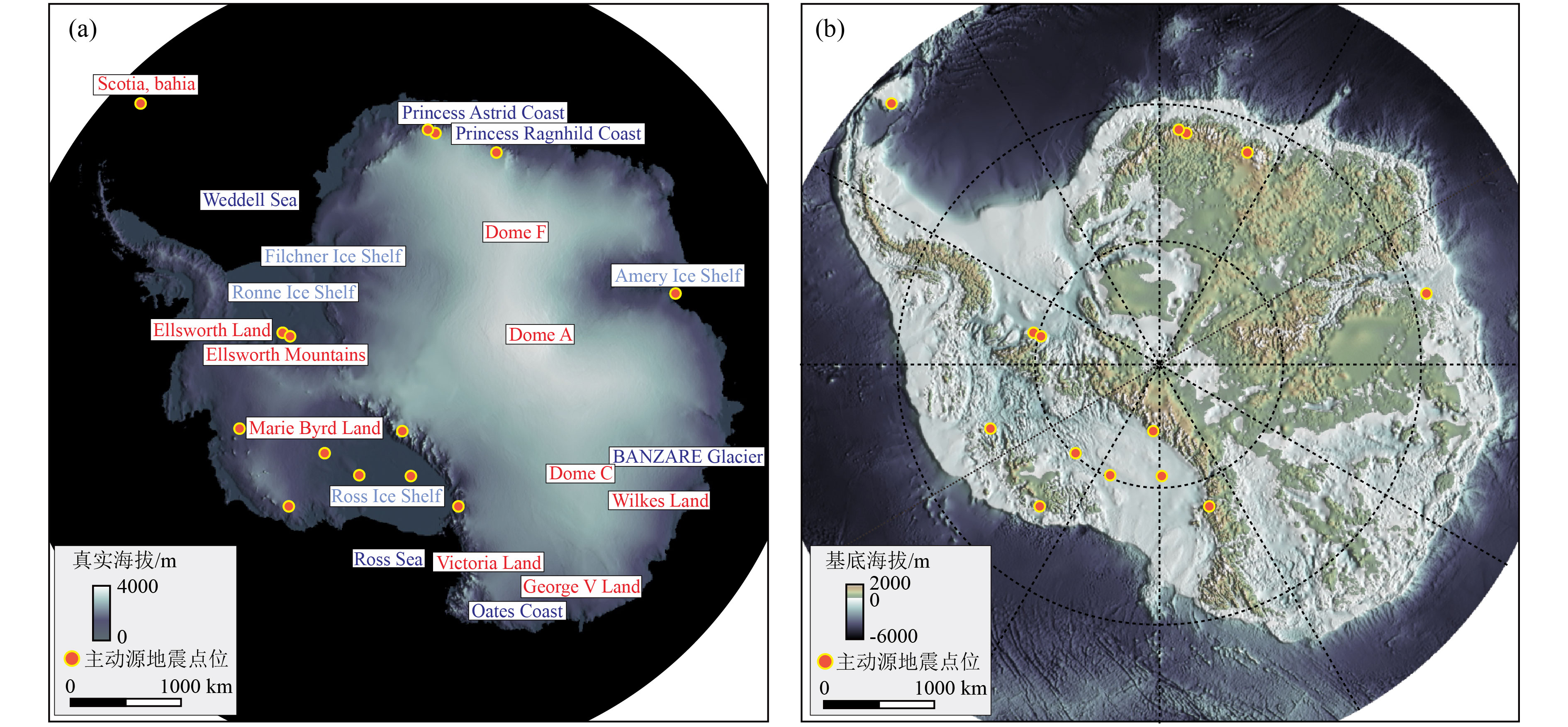 Seismic imaging study of the snow-ice-bedrock medium in Antarctica