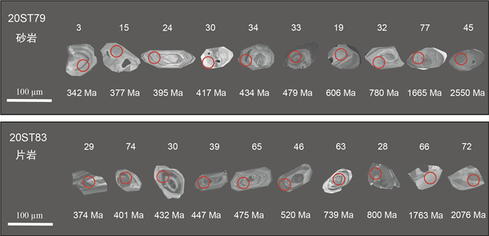 【ふみ】 Regional synthesis of the Ordovician geology and