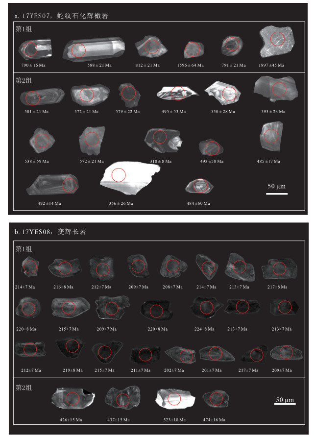 Geochronology, geochemistry, and geological significance of