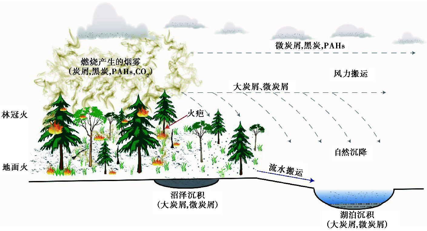 末次间冰期以来古火对千年及轨道尺度气候和植被变化的响应