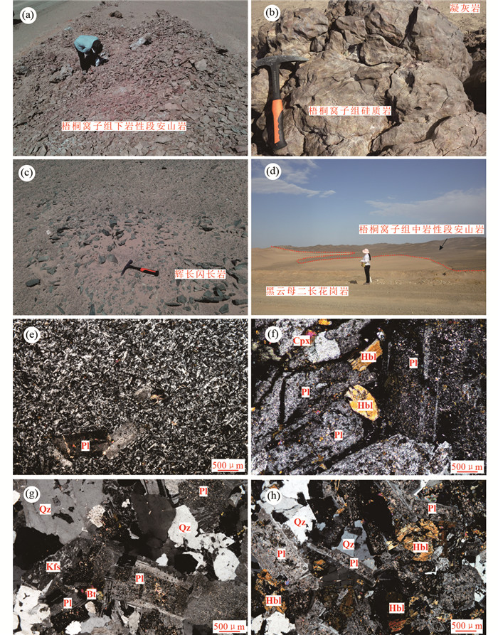 Late Paleozoic tectonic transition of the East Tianshan: Constraints ...
