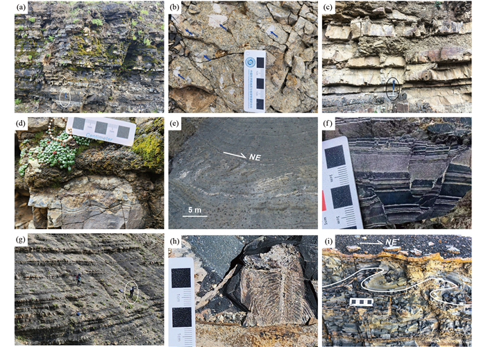 Sedimentary records of an Early Paleocene volcanic crater lake in the ...