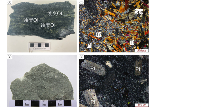 Petrogenesis of Late Triassic mafic volcanic rocks in the Gacun area ...