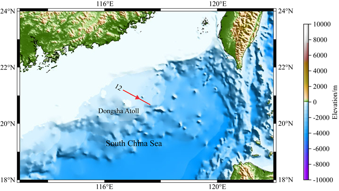 东沙海域内孤立波浅化过程及含圈闭涡核内孤立波的反射地震初探