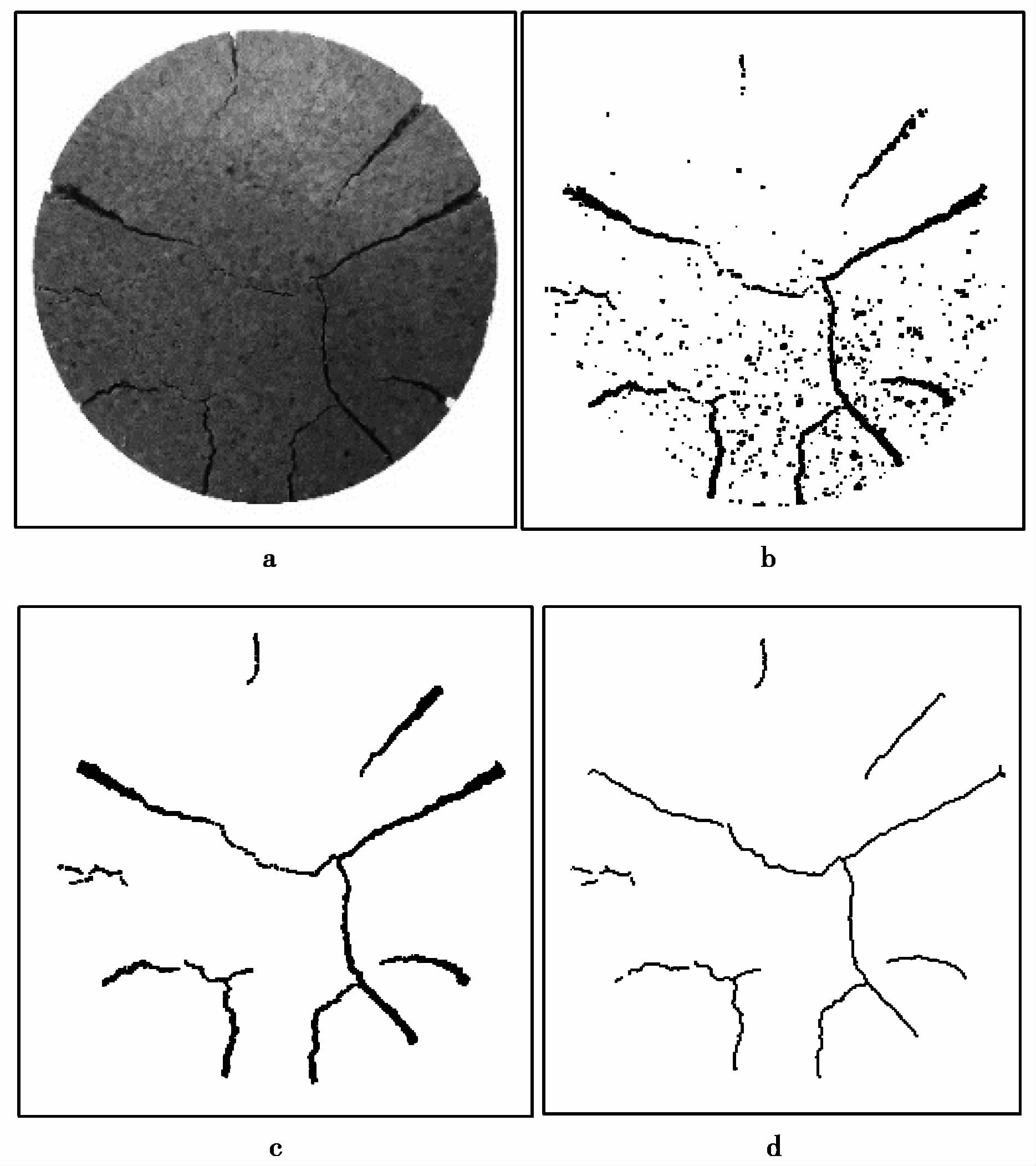QUANTIFING DESICCATION CRACK BEHAVIOUR OF REMOLDED EXPANSIVE SOIL