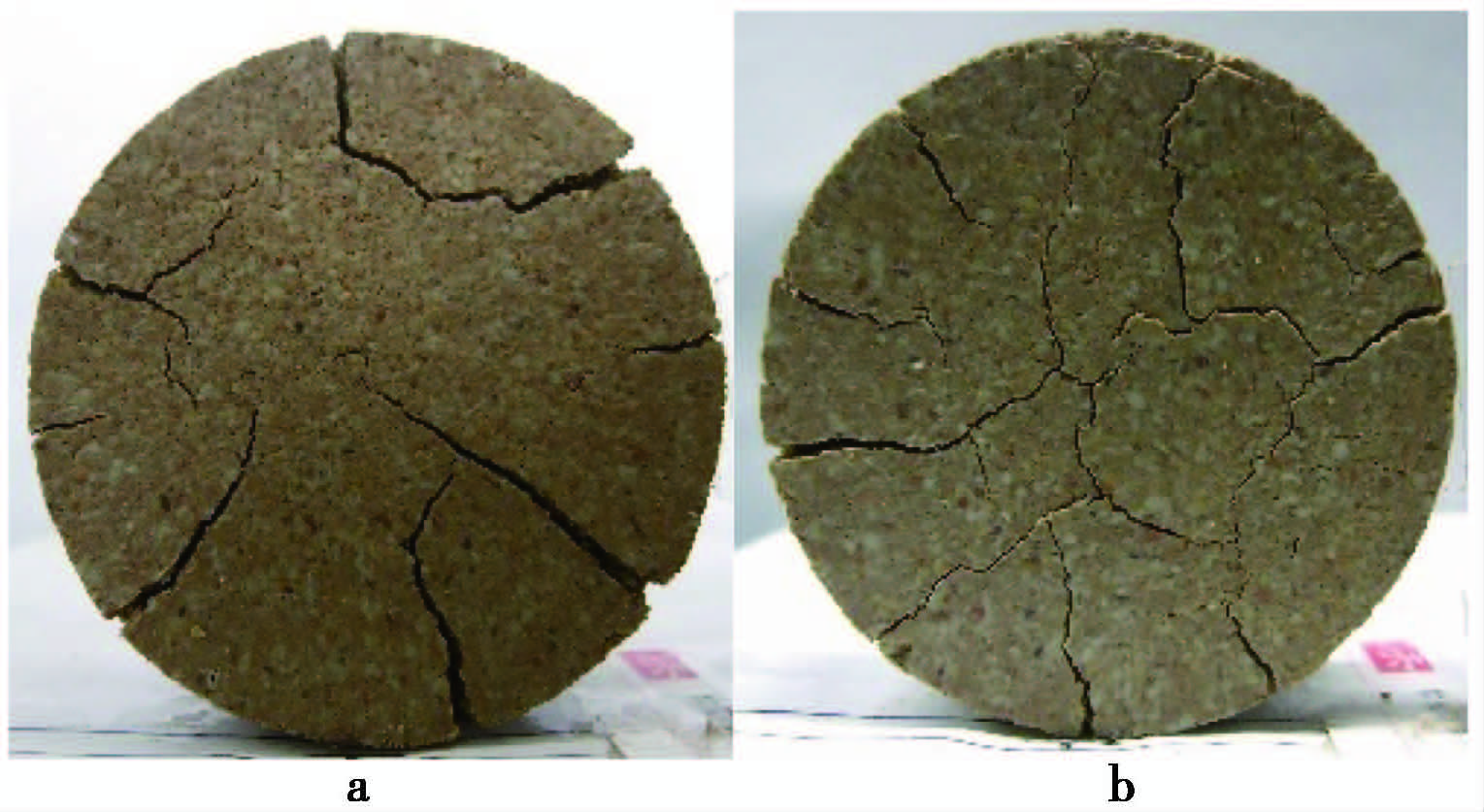 QUANTIFING DESICCATION CRACK BEHAVIOUR OF REMOLDED EXPANSIVE SOIL