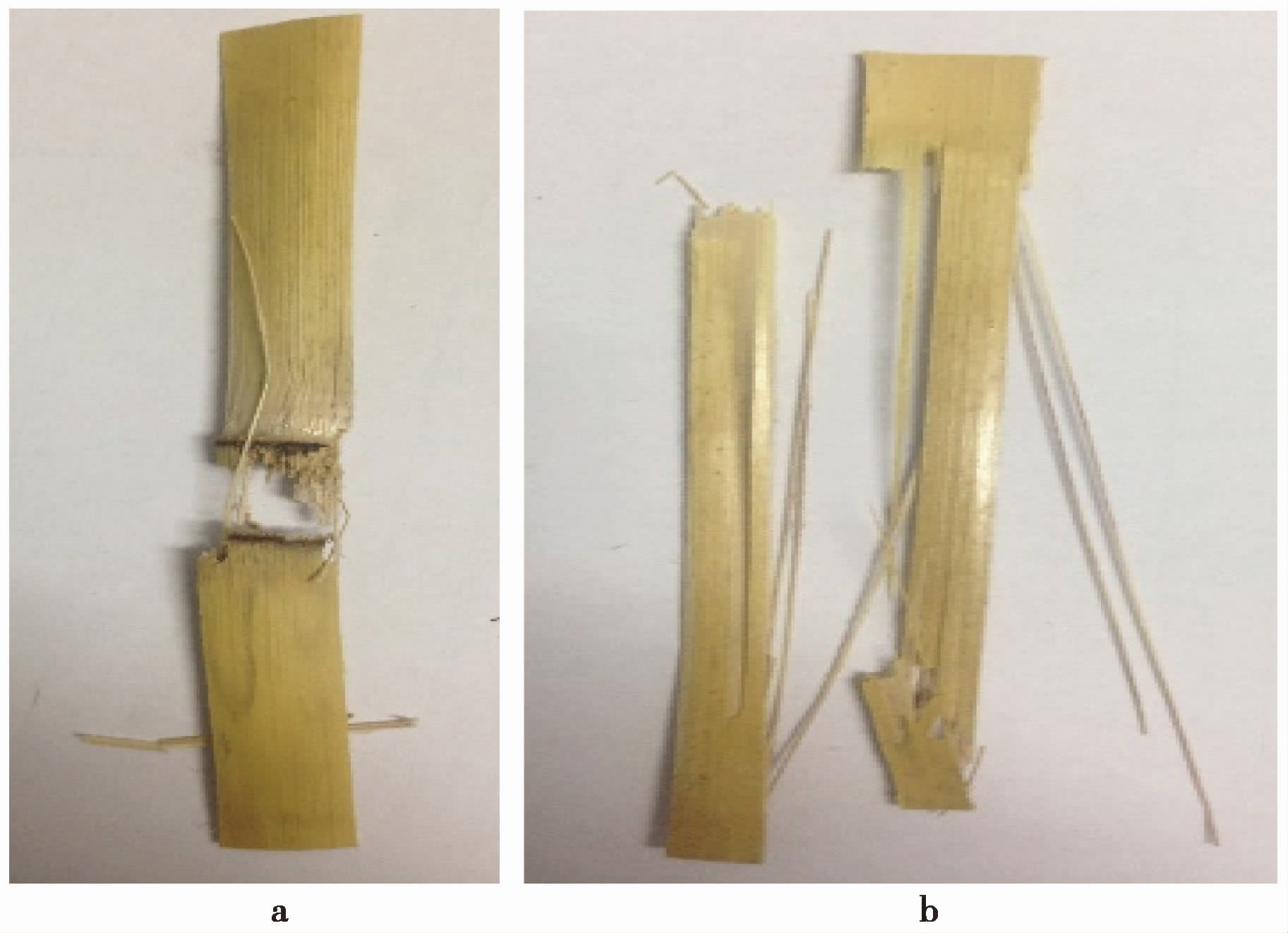 EXPERIMENTAL STUDY ON ANTI-CORROSION OF CORN STRAW AND ITS EFFECT IN ...
