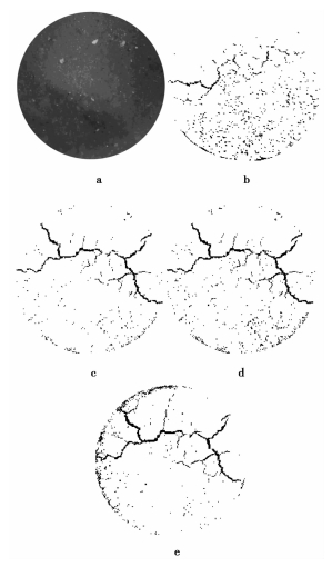 CHANGE RULES OF CRACKS AND SHEAR STRENGTH IN UNSATURATED RED CLAY UNDER ...
