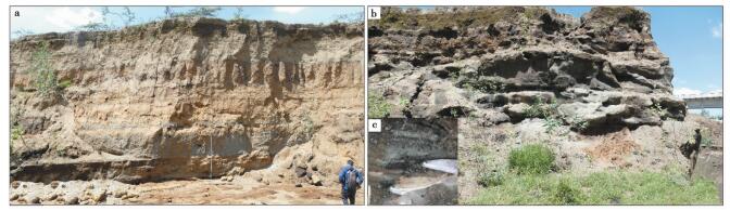 FORMATION MECHANISM OF GROUND FISSURES UNDER VOLCANIC ACTIVITY IN EAST ...