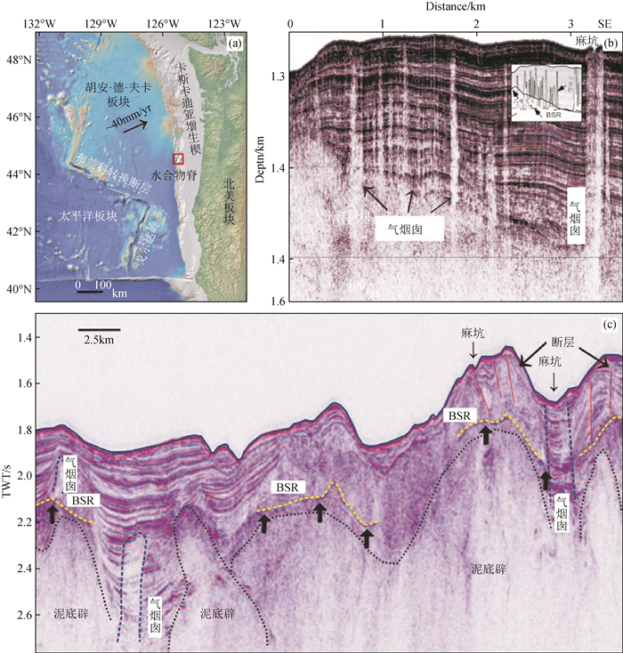 Study on the effect of fluid migration system on natural gas hydrate ...