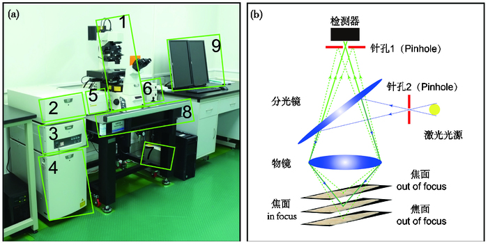 Applications of laser scanning confocal microscope to paleoclimate ...