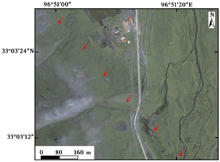 Research On Optical Remote Sensing Characteristics Of Coseismic Surface ...